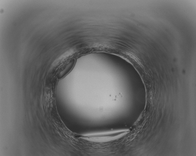 X0000066521111200603311747