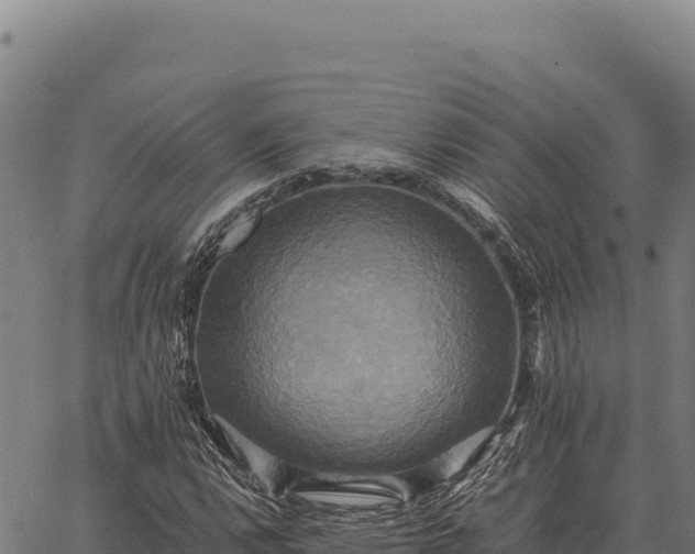 X0000066521112200603311747