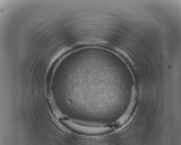 X0000066521114200603311747