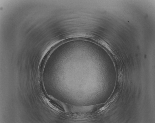 X0000066521116200603311747