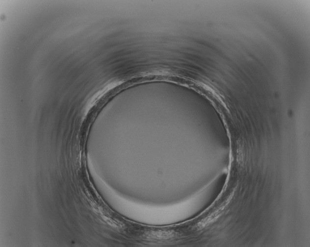 X0000066521117200603311747