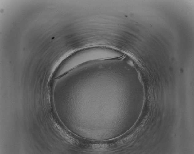 X0000066521118200603311747