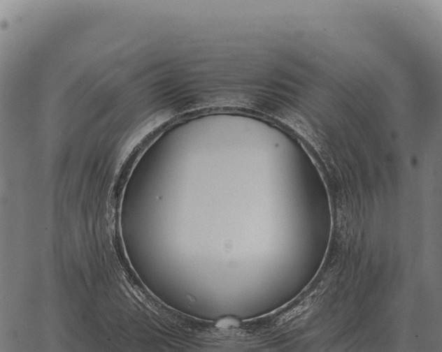 X0000066521119200603311747