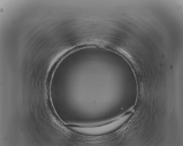 X0000066521120200603311747