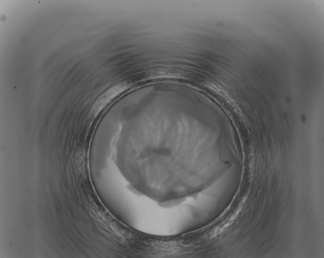 X0000066521121200603311747