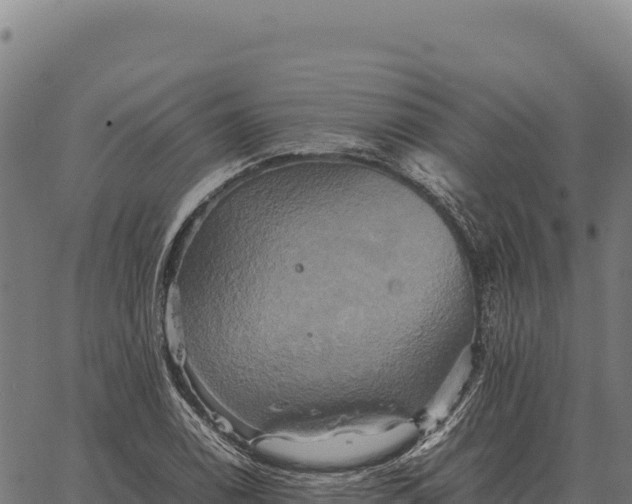 X0000066521122200603311747