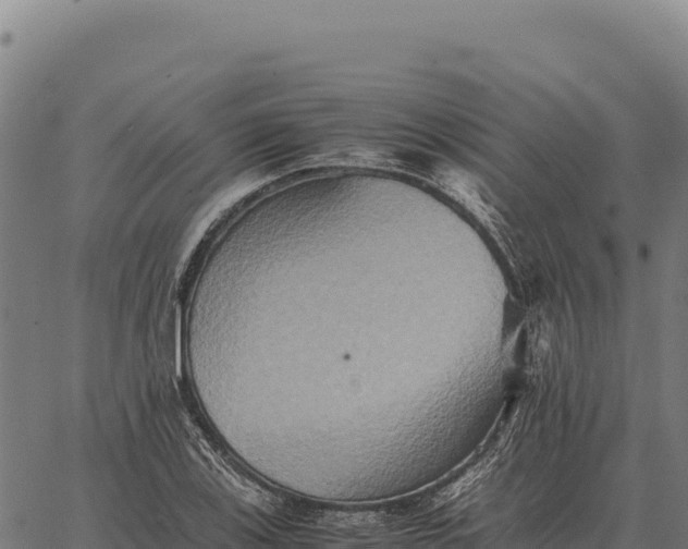 X0000066521123200603311747