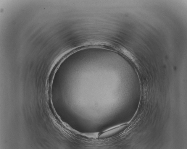 X0000066521124200603311747