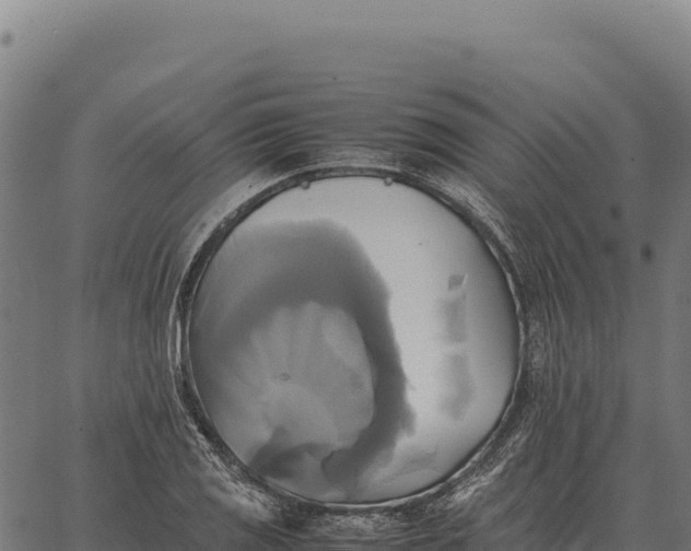 X0000066521125200603311748