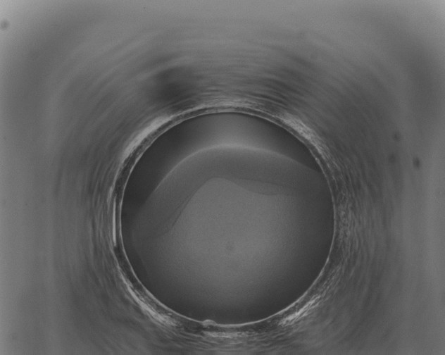 X0000066521127200603311748