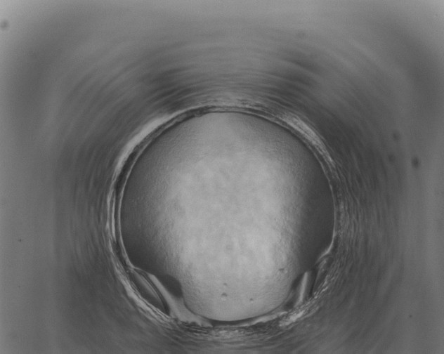 X0000066521128200603311748