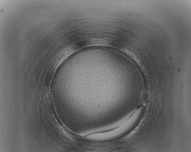 X0000066521129200603311748