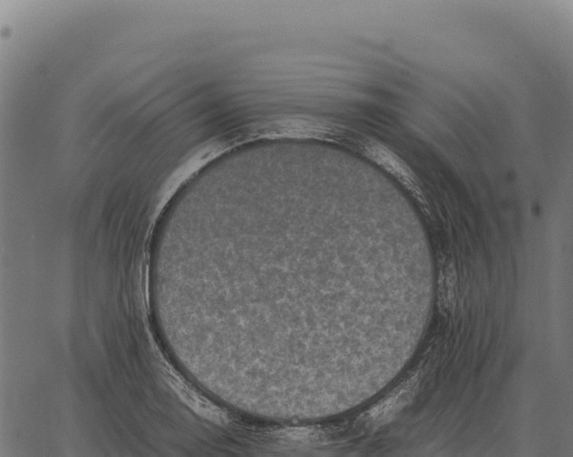 X0000066521130200603311748