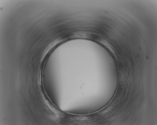 X0000066521131200603311748