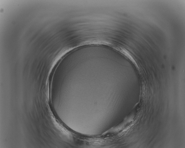 X0000066521132200603311748