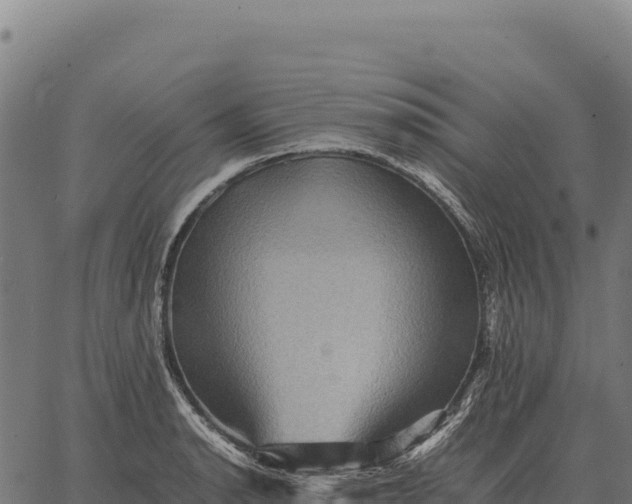 X0000066521134200603311748