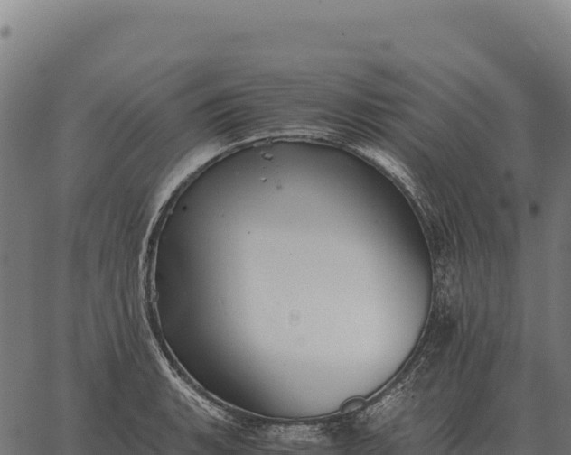 X0000066521135200603311748