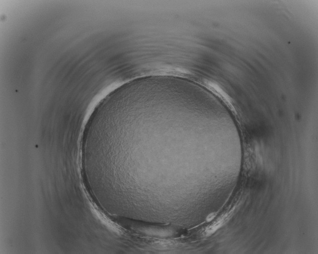 X0000066521136200603311748