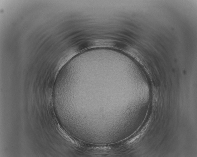 X0000066521137200603311748