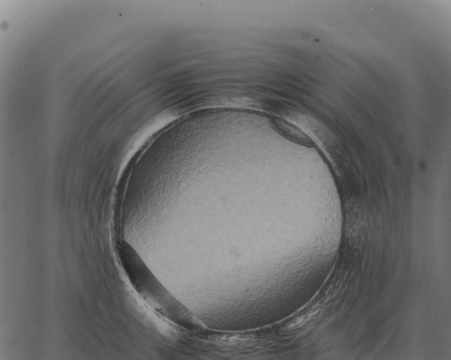 X0000066521139200603311748