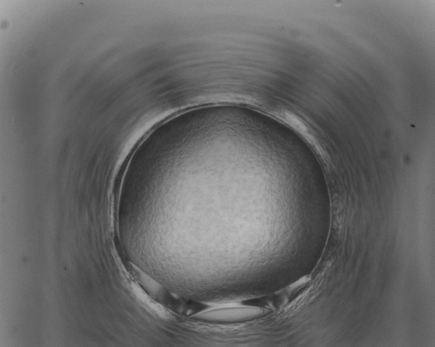 X0000066521140200603311748