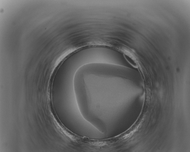 X0000066521141200603311748