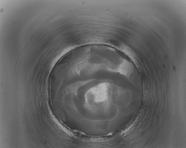 X0000066521142200603311748