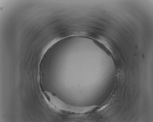 X0000066521143200603311748