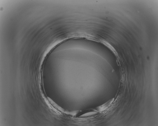 X0000066521144200603311748