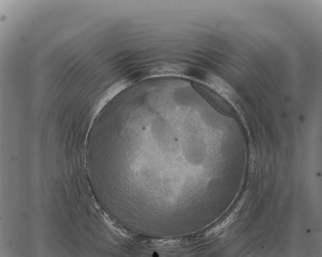 X0000066521145200603311748