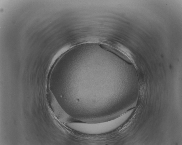 X0000066521146200603311748