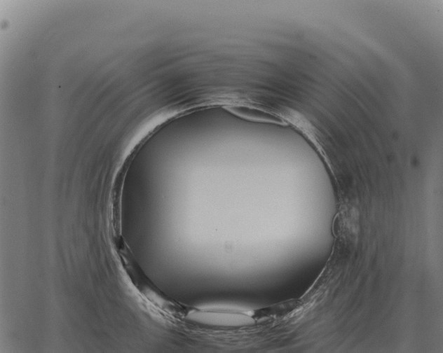 X0000066521147200603311748