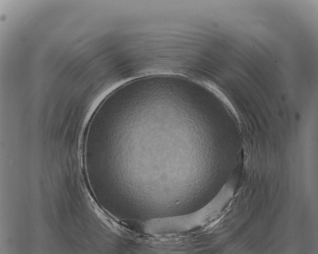 X0000066521148200603311748