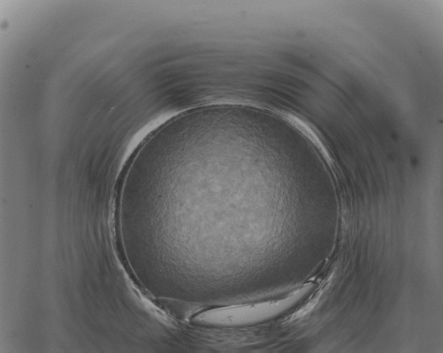 X0000066521149200603311748