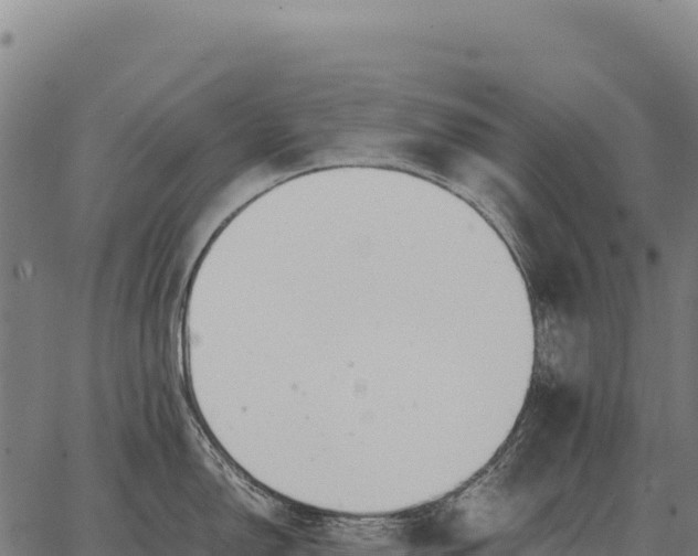 X0000066521150200603311748