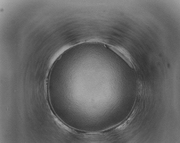 X0000066521151200603311748