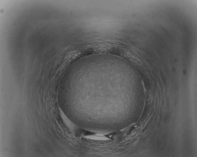 X0000066521153200603311747