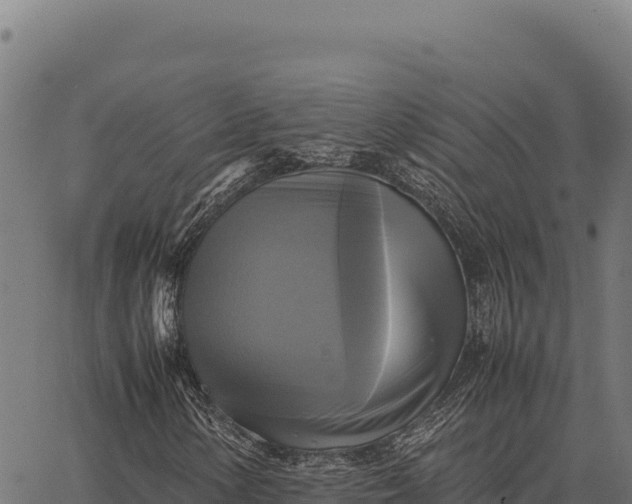 X0000066521154200603311747