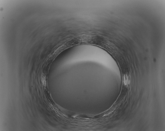 X0000066521155200603311747