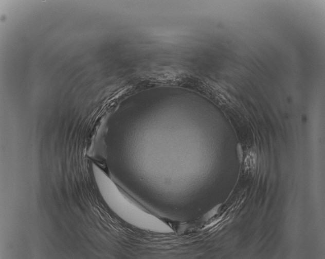 X0000066521156200603311747