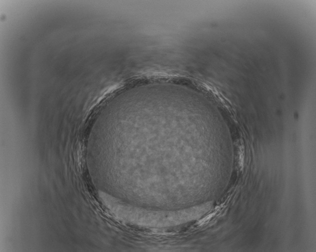 X0000066521157200603311747