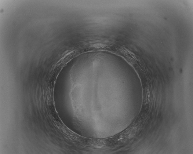 X0000066521158200603311747