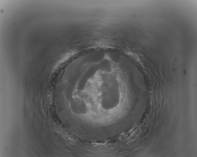 X0000066521159200603311747