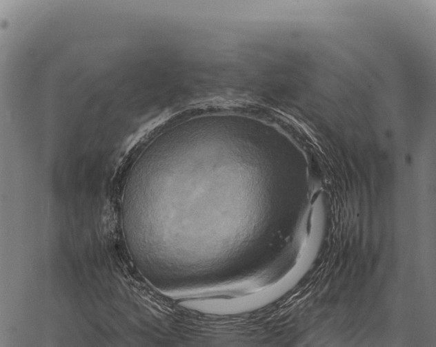 X0000066521160200603311747