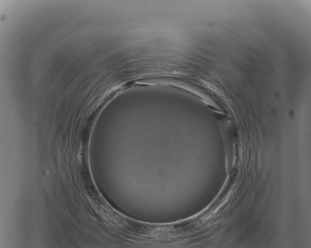 X0000066521161200603311747