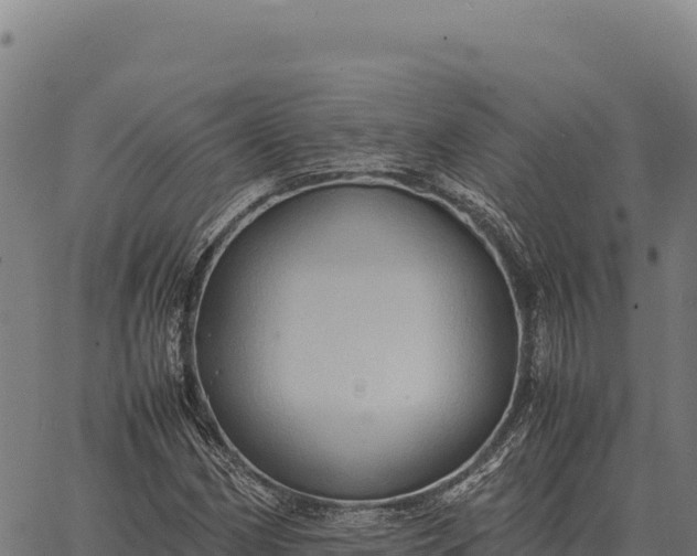 X0000066521162200603311747