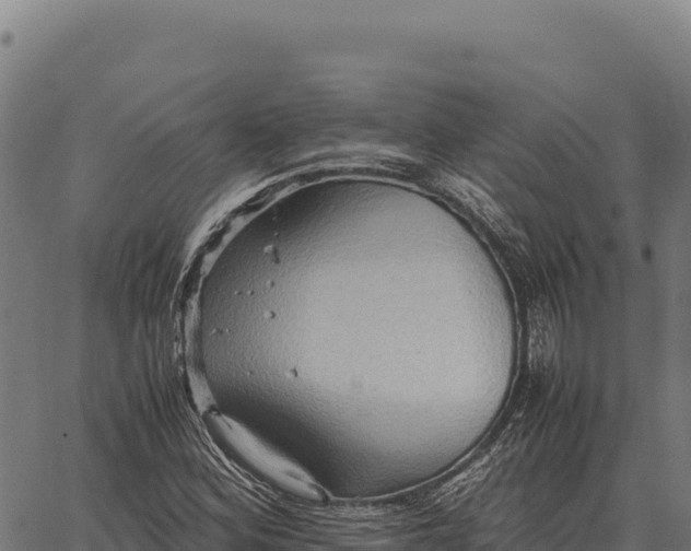 X0000066521164200603311747