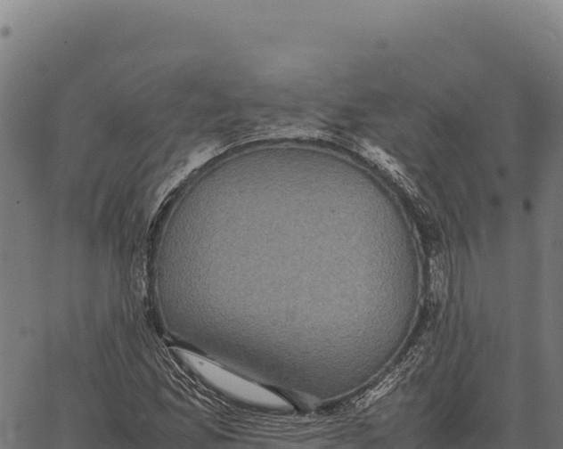 X0000066521165200603311747