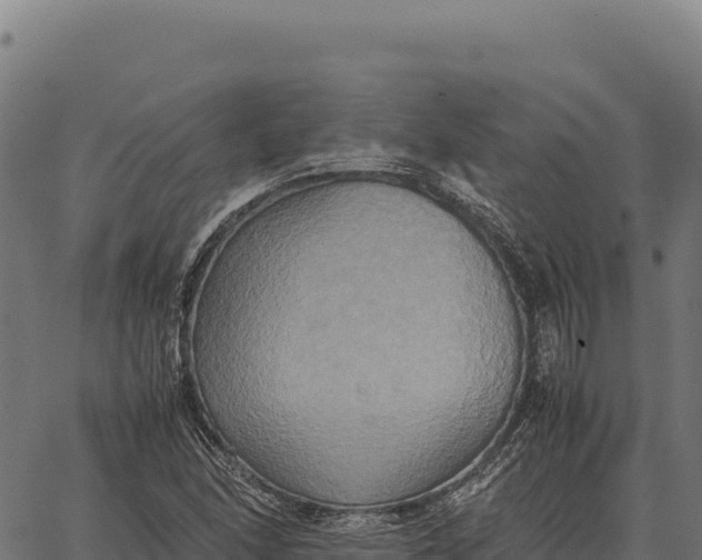 X0000066521166200603311747