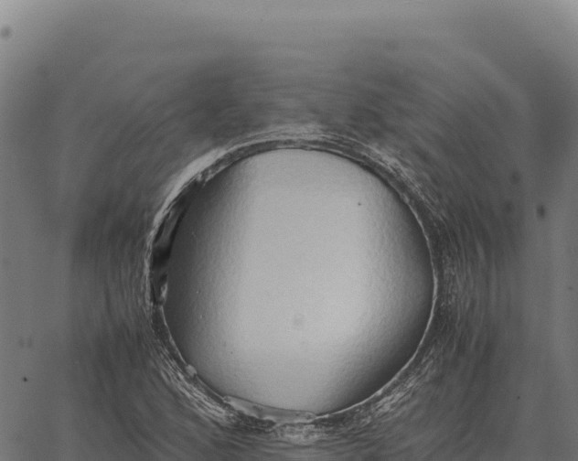 X0000066521168200603311747